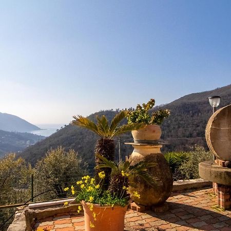 Villa Le Macine Molino Nuovo  Zewnętrze zdjęcie